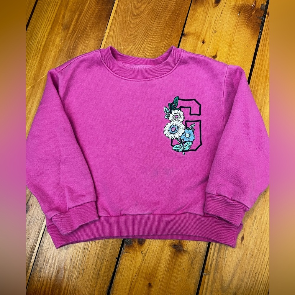 GAP Toddler Girls 4T Crewneck Sweater Sweatshirt Pink Flower Embroidery